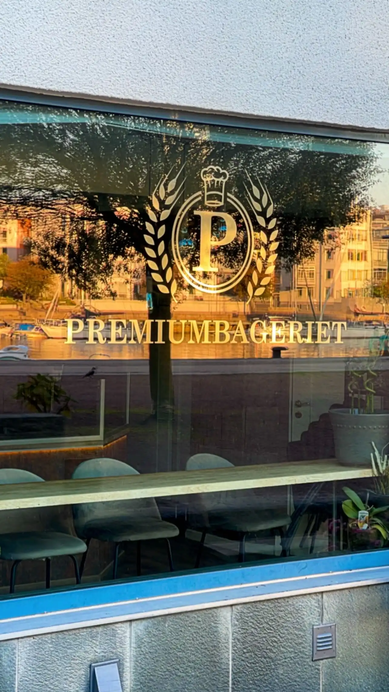 Premiumbageriets skyltfönster med guldlogga i kvällsljus